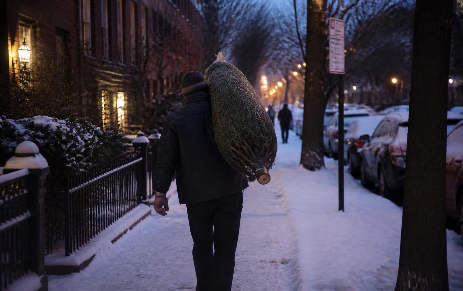 A person carrying a netted Christmas tree home through a snowy street at dusk