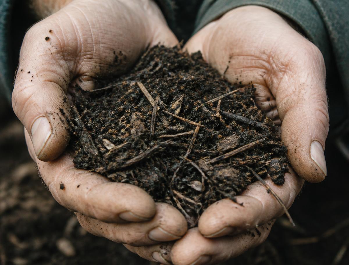 giving back to the soil